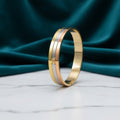 Luminous Line Bangle by DalyaNis