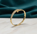 Eternal Shine Bangle by DalyaNis